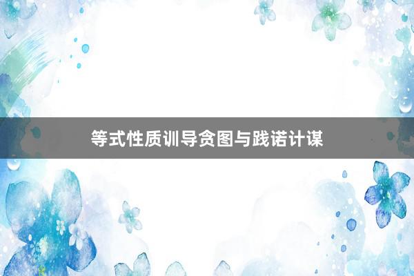 等式性质训导贪图与践诺计谋