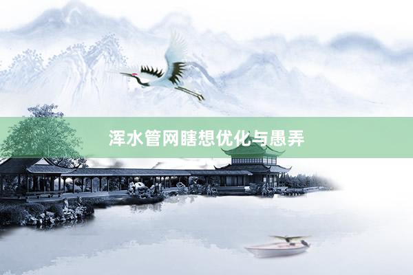 浑水管网瞎想优化与愚弄