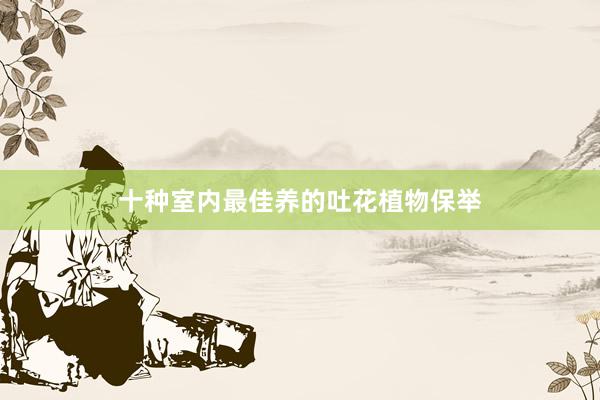十种室内最佳养的吐花植物保举