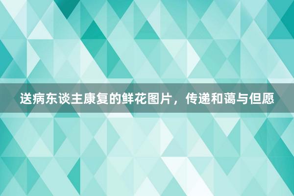 送病东谈主康复的鲜花图片，传递和蔼与但愿